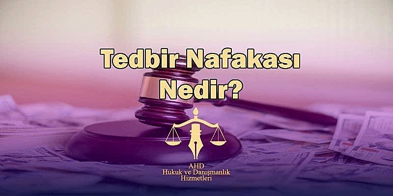 tedbir nafakası