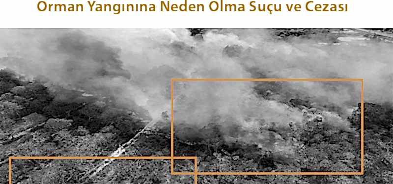 Orman Yangınına Neden Olma Suçu ve Cezası